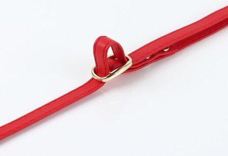 iPhone 14 Pro Rood - Back Cover met Koord