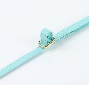 iPhone 14 Pro Max Turquoise - Back Cover met Koord
