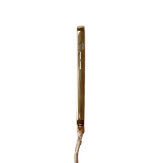 iPhone 14 Goud - Magsafe TPU met Koord