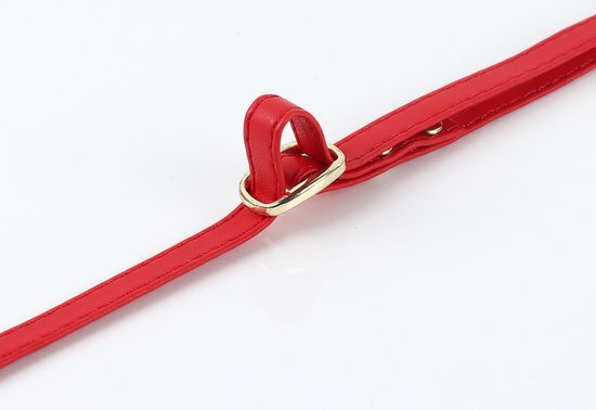 iPhone 14 Pro Rood - Back Cover met Koord